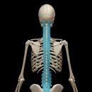 통증 잡는 마사지볼 이미지