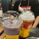 돼지야&닭 이미지