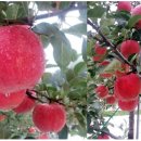 재천농장 이미지