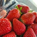 칠포농장 이미지