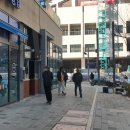 반달섬의 기적 네이버블로그