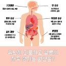 최신환내과의원 이미지
