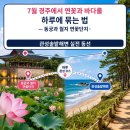 경주카정비 | 7월 경주에서 연꽃과 바다를 하루에 묶는 법 — 동궁과 월지 연꽃단지·관성솔밭해변 실전 동선