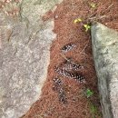 밀양댐생태공원 | '밀양댐 생태공원' 차박 후기, 여름밤 에어컨이 필요 없는 최고의 가족 여름 피서지, 무료차박지 (2025...