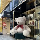 신부양각 | 로이드 웨딩밴드 실착후기 착용샷 강남점 방문 견적 가성비 웨딩밴드 추천