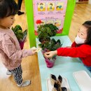 꽃사세요 꽃 이미지