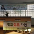 평화상조 이미지