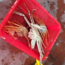 이준오수산 이미지