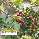 피터스 팩토리