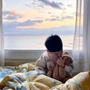 트윈짐 | 대마도 숙소 추천, 도요코인 쓰시마 히타카츠 호텔 꼼꼼 후기(feat.짐보관, 트윈룸, 무료 조식&amp;석식)