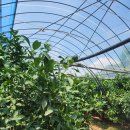 우적농장 이미지