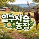 일구사슴농장 이미지