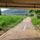 양지천2 이미지