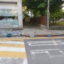 인천유도스쿨 이미지