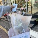 조하플라워