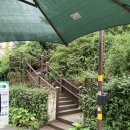 오금공원 | [리뷰] 오금공원 황토길 맨발걷기 다녀온 후기