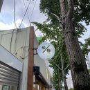 텐퍼센트커피부산시민공원점 이미지