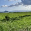 가파도하우스 J민박 이미지