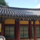 영주 소수서원 문성공묘 Daum카페
