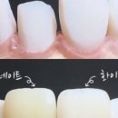 365아홉가지약속치과의원 이미지