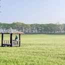 만진농장 이미지