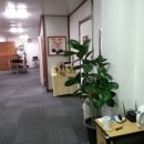 수원-0031 이미지