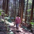 부산어린이대공원 이미지