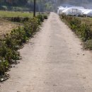 대운산리 이미지