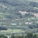 26년 7월 14일(흐림:화)큰처남 용필오다 이미지