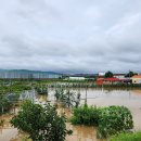 악몽의 재현 이미지