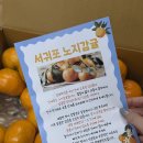 왕대 | 와다와시 제주고당도귤 왕대가 2L 4.5kg 주문후기