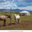 신의 경로당 이미지