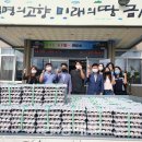 법인드림팜