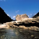 느티나무집민박 이미지