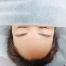바니앤피그눈썹