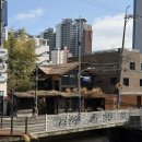 온다, 봄이 꽃차바리스타 | [부산] 모모스커피 본점 / 부산 가면 여긴 무조건 필수 코스 / 기념품으로 드립백 추천 / 주문 빨리하는...