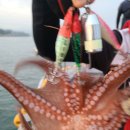 대성3호 이미지