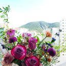 제니플라워스튜디오 이미지