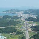 완도13호 이미지