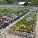 학전농장 이미지