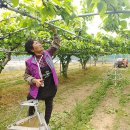 정순임 농가 이미지