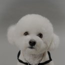 스튜디오 아이엔씨 이미지
