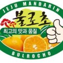 제주감귤농업협동조합 농산물산지유통센터(9유통) 이미지