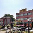 본토,만다복 이미지