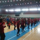 숲속의 아일랜드유치원 이미지