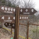 한일초등학교 이미지