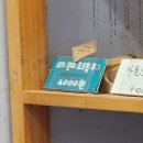 브레디언 이미지