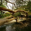 서해목장 이미지