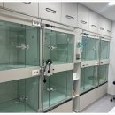 대구동물병원 이미지