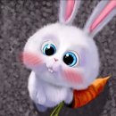 내눈에 김안과 의원 이미지